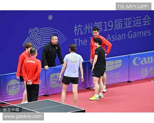 乒乓球的魅力与精神：深入了解杭州乒乓球队的训练与文化