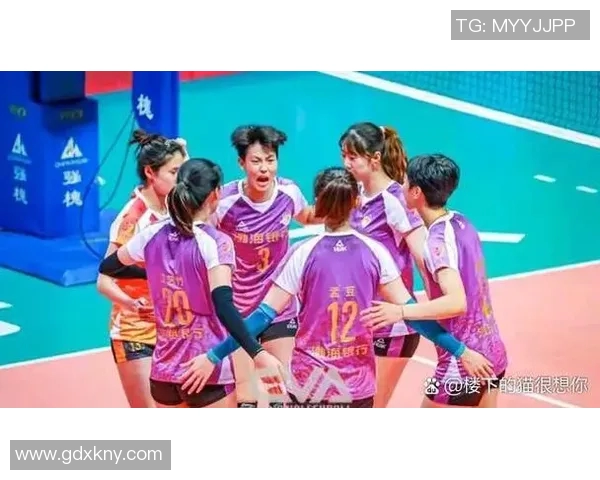 成都排球队与上海排球队对决后的深度分析与反思