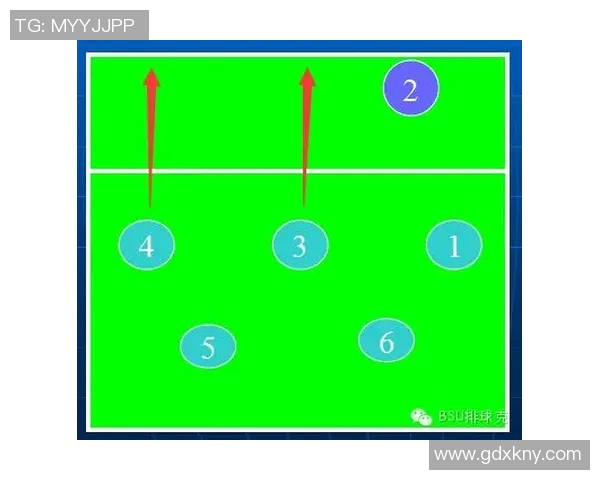 成都排球队总决赛战术表现分析与未来发展展望
