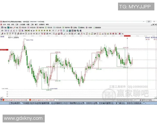 杭州羽毛球队的节奏探讨与发展趋势分析