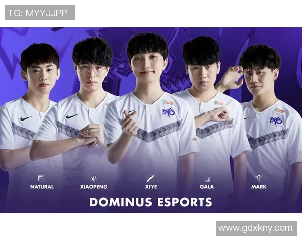 深入探讨RNG战队在比赛中的经验与表现分析