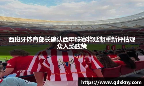 西班牙体育部长确认西甲联赛将延期重新评估观众入场政策